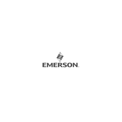 Emerson-P-Parts for Instruments